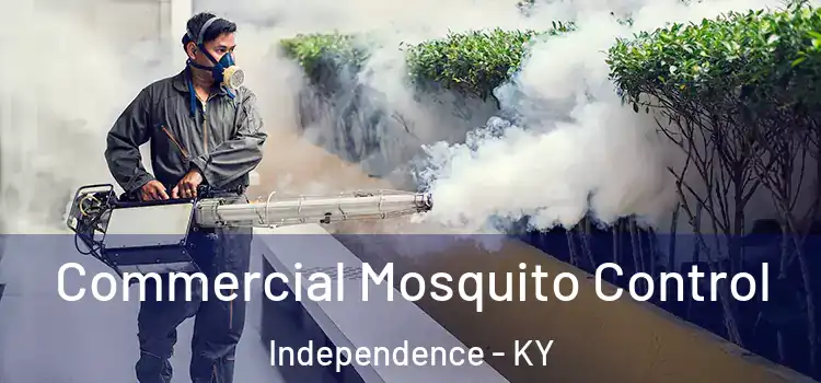  Commercial Mosquito Control Independence - KY