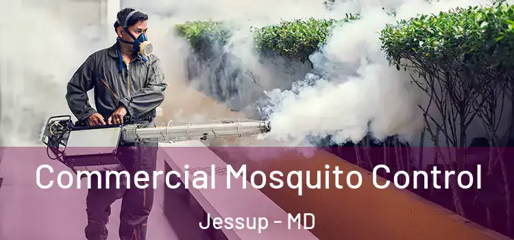 Commercial Mosquito Control Jessup - MD
