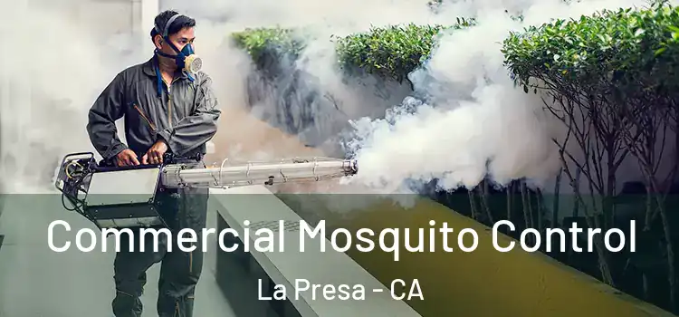 Commercial Mosquito Control La Presa - CA
