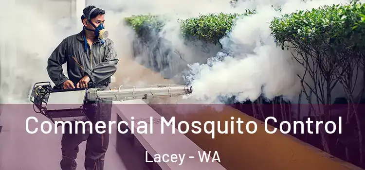 Commercial Mosquito Control Lacey - WA
