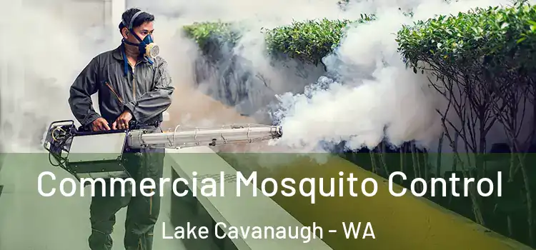  Commercial Mosquito Control Lake Cavanaugh - WA