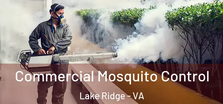 Commercial Mosquito Control Lake Ridge - VA