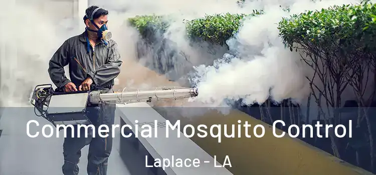 Commercial Mosquito Control Laplace - LA