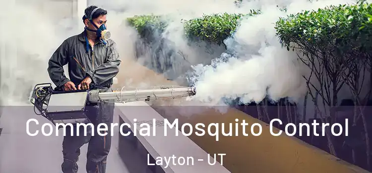  Commercial Mosquito Control Layton - UT