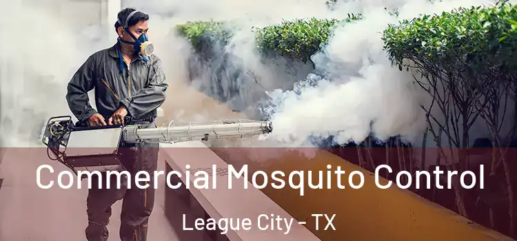 Commercial Mosquito Control League City - TX