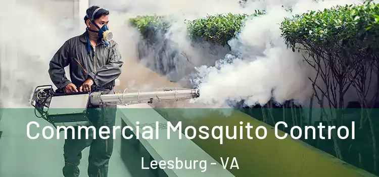  Commercial Mosquito Control Leesburg - VA