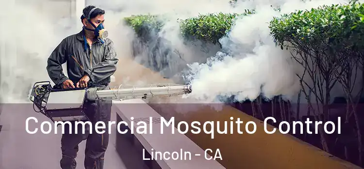 Commercial Mosquito Control Lincoln - CA
