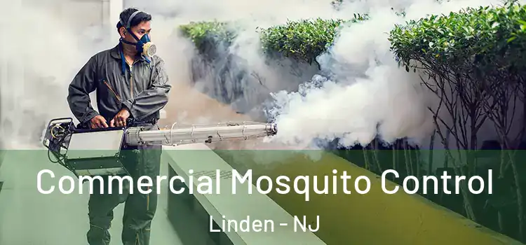  Commercial Mosquito Control Linden - NJ