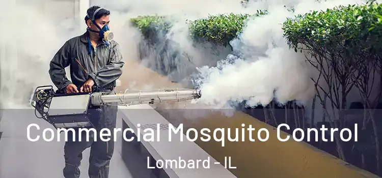 Commercial Mosquito Control Lombard - IL