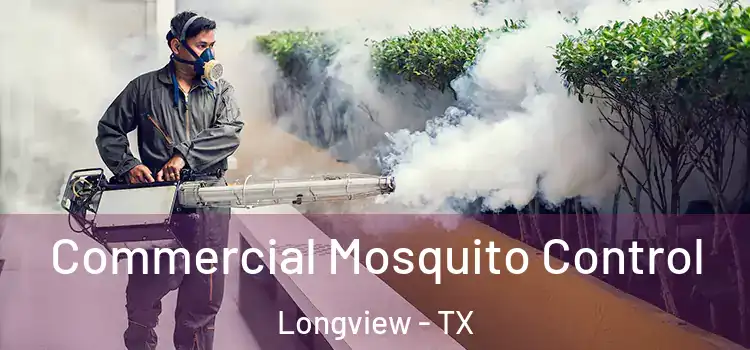 Commercial Mosquito Control Longview - TX