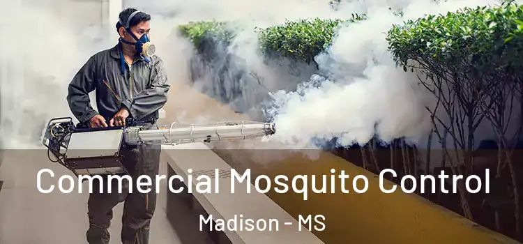  Commercial Mosquito Control Madison - MS
