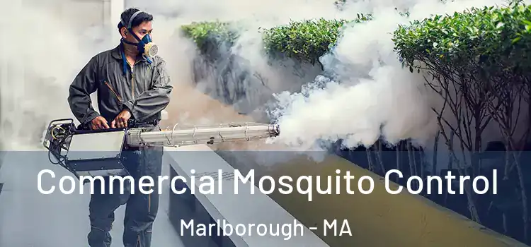  Commercial Mosquito Control Marlborough - MA