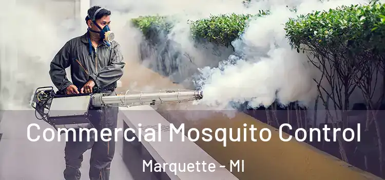 Commercial Mosquito Control Marquette - MI
