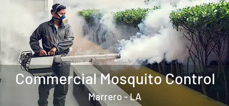 Commercial Mosquito Control Marrero - LA