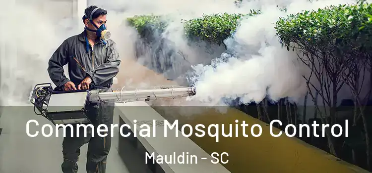  Commercial Mosquito Control Mauldin - SC