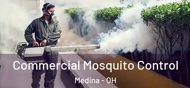 Commercial Mosquito Control Medina - OH