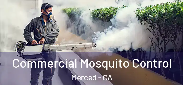  Commercial Mosquito Control Merced - CA