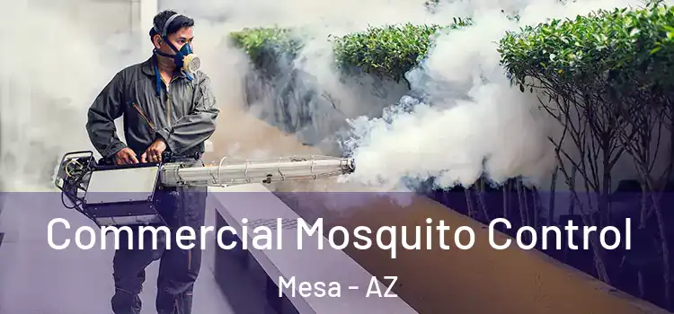 Commercial Mosquito Control Mesa - AZ