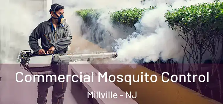 Commercial Mosquito Control Millville - NJ