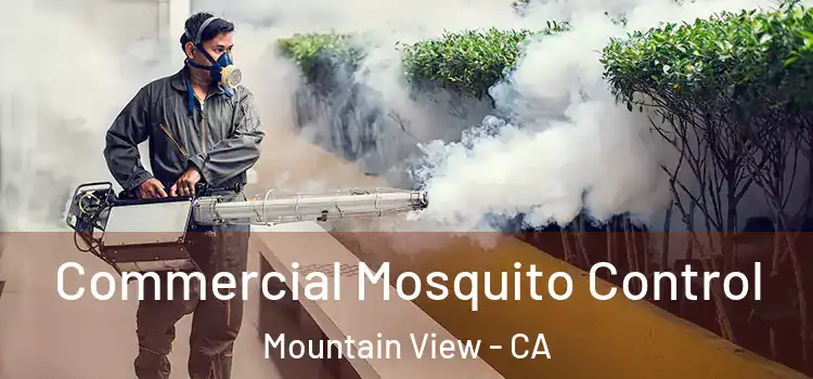 Commercial Mosquito Control Mountain View - CA