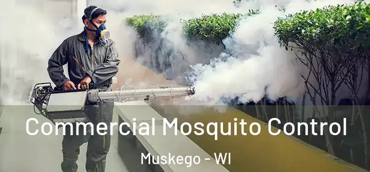 Commercial Mosquito Control Muskego - WI
