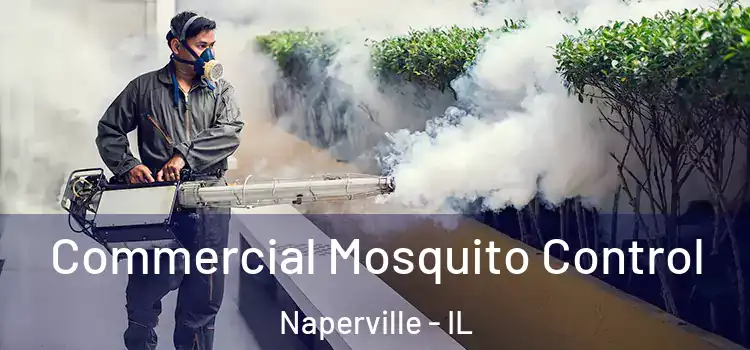  Commercial Mosquito Control Naperville - IL