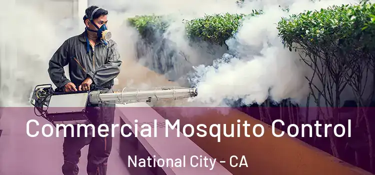  Commercial Mosquito Control National City - CA