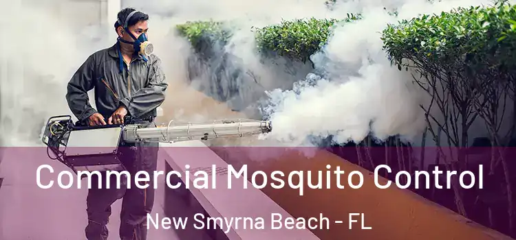  Commercial Mosquito Control New Smyrna Beach - FL