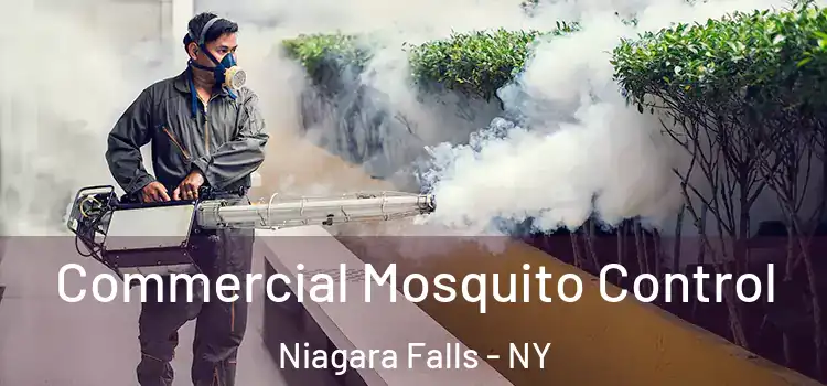  Commercial Mosquito Control Niagara Falls - NY