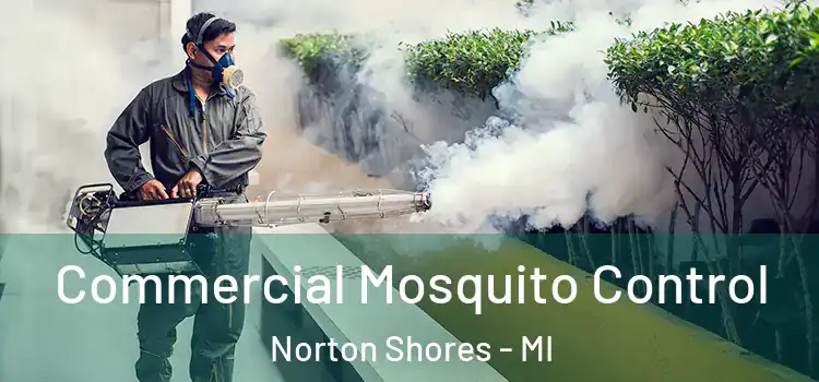 Commercial Mosquito Control Norton Shores - MI