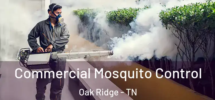  Commercial Mosquito Control Oak Ridge - TN