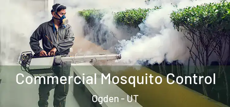  Commercial Mosquito Control Ogden - UT