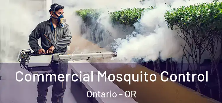  Commercial Mosquito Control Ontario - OR