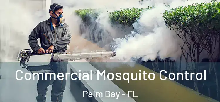 Commercial Mosquito Control Palm Bay - FL