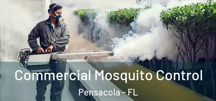  Commercial Mosquito Control Pensacola - FL