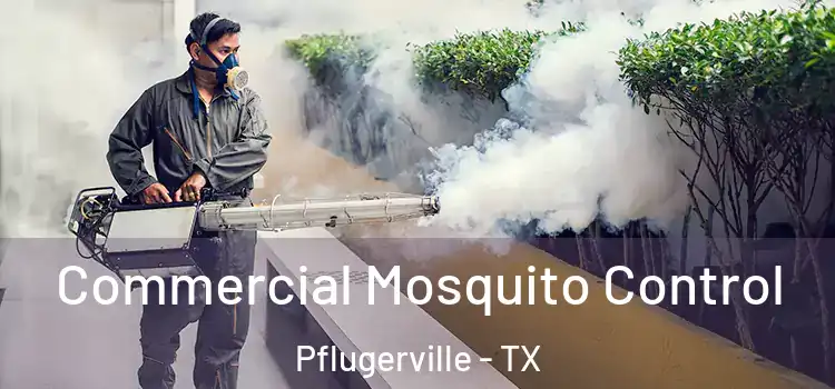  Commercial Mosquito Control Pflugerville - TX