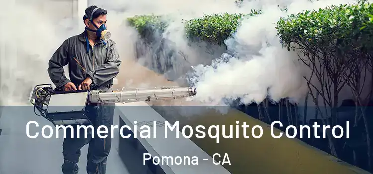  Commercial Mosquito Control Pomona - CA