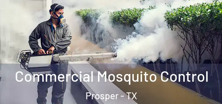  Commercial Mosquito Control Prosper - TX