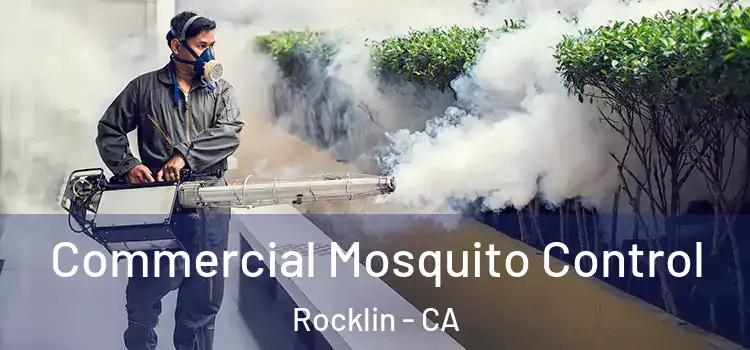  Commercial Mosquito Control Rocklin - CA