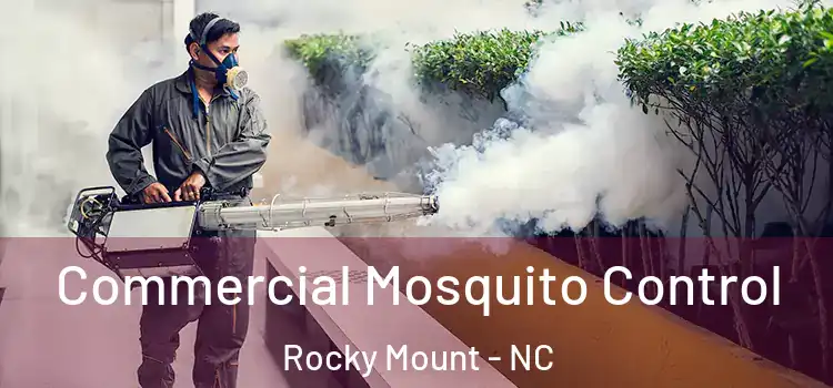 Commercial Mosquito Control Rocky Mount - NC