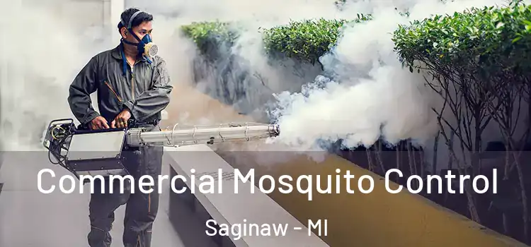 Commercial Mosquito Control Saginaw - MI