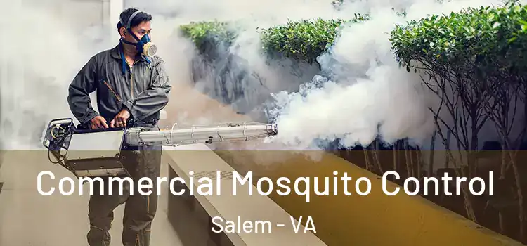  Commercial Mosquito Control Salem - VA