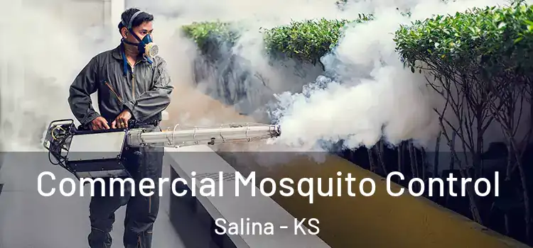 Commercial Mosquito Control Salina - KS