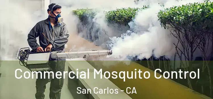 Commercial Mosquito Control San Carlos - CA