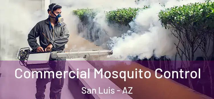  Commercial Mosquito Control San Luis - AZ