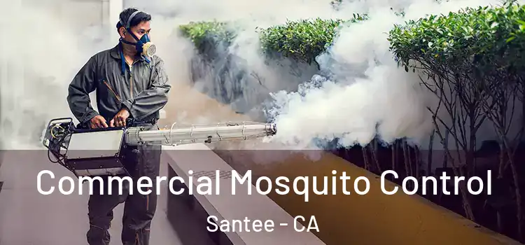 Commercial Mosquito Control Santee - CA