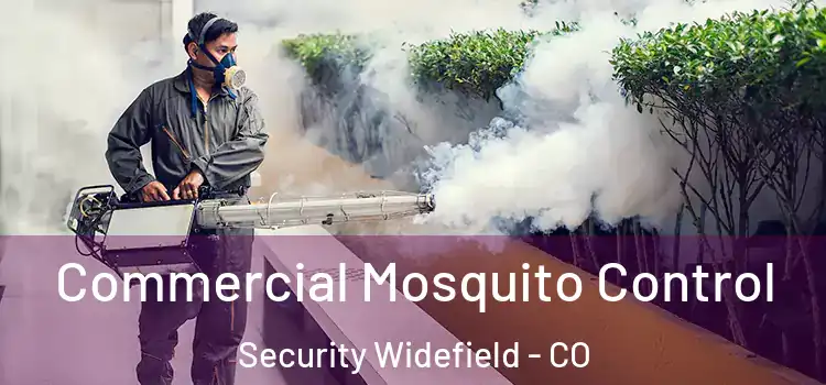 Commercial Mosquito Control Security Widefield - CO
