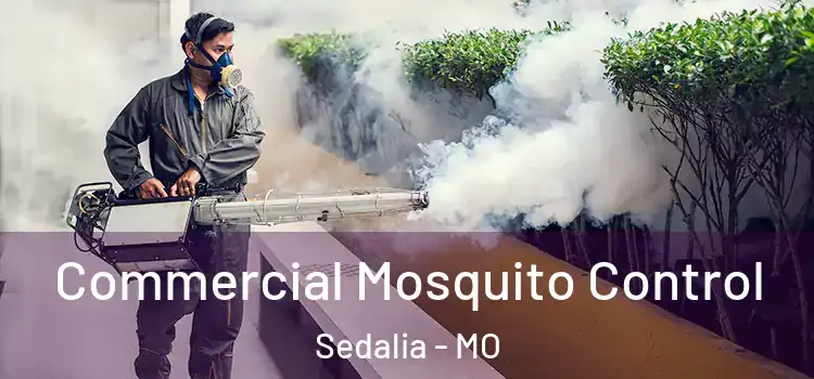  Commercial Mosquito Control Sedalia - MO