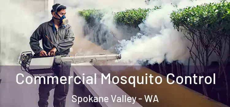  Commercial Mosquito Control Spokane Valley - WA