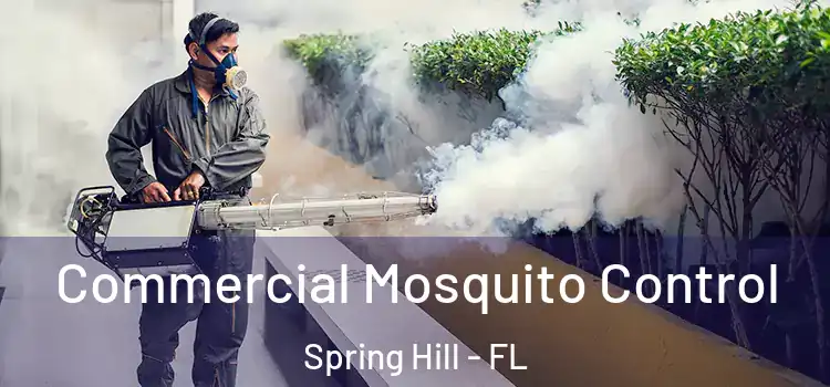  Commercial Mosquito Control Spring Hill - FL